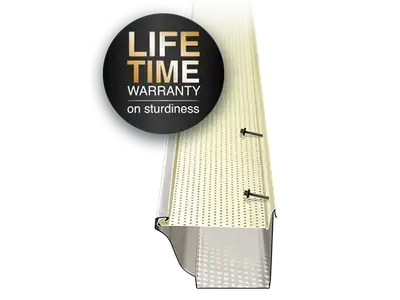 T-Rex gutter system